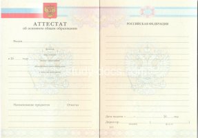 Аттестат за 9 класс 2007-2010 в Щёлково